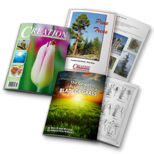 Nature magazine online