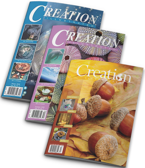nature magazine publisher