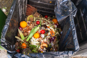 facts on food waste