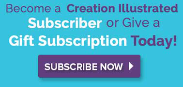 Gift Creation Illustrated Subscription