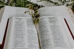 Bible Reading