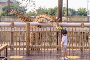 Family time in Zoo