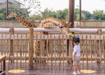 Family time in Zoo