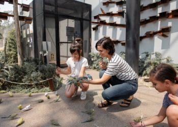 children with birds