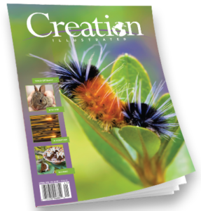 Nature Magazines