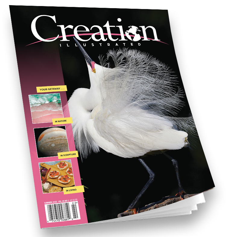 Best Nature Science Magazines Daily Printed Children's Magazines