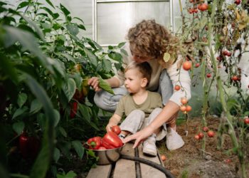 Gardening with children