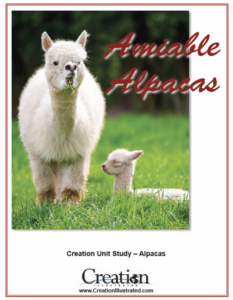 Alpaca Unit Study by Creation Illustrated