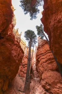 Bryce-Canyon