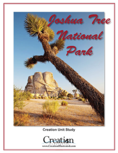 Joshua Tree National Park Unit Study