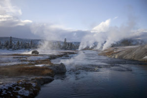 Yellowston NP geyser