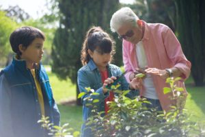 Gardening with kids