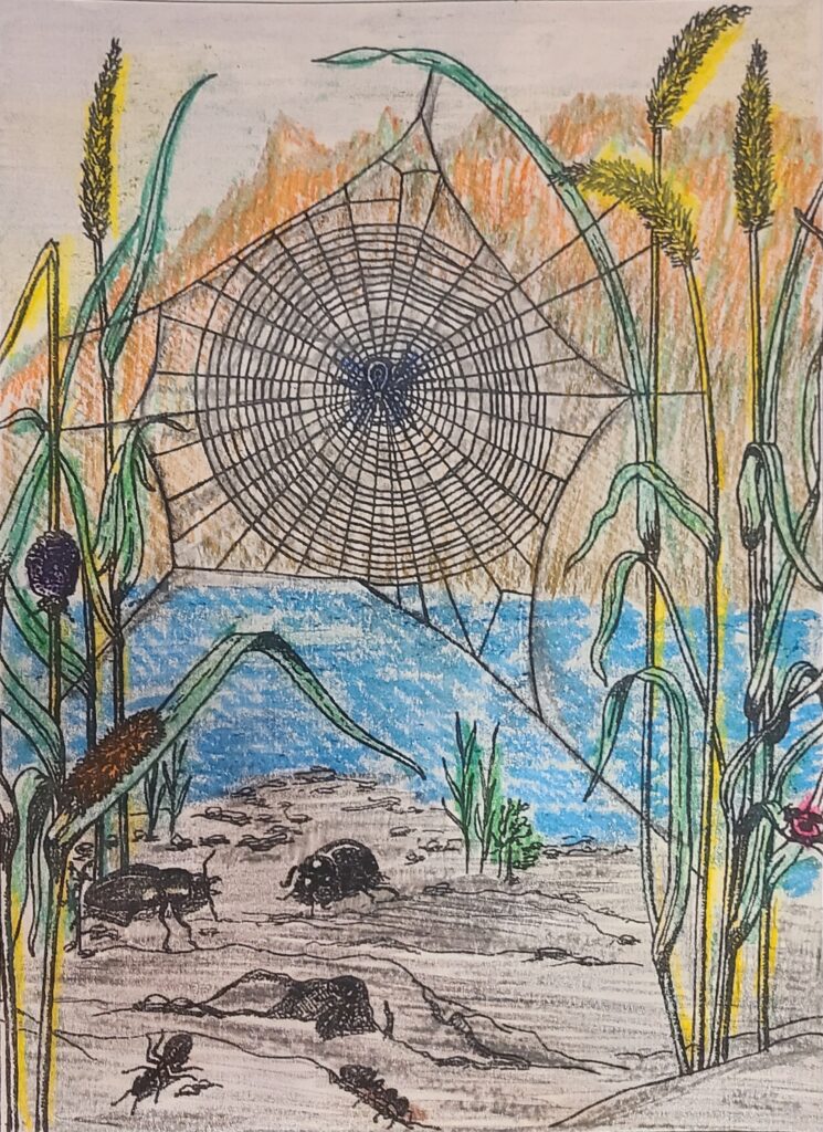 Jenny L. age 12, Madison, WI